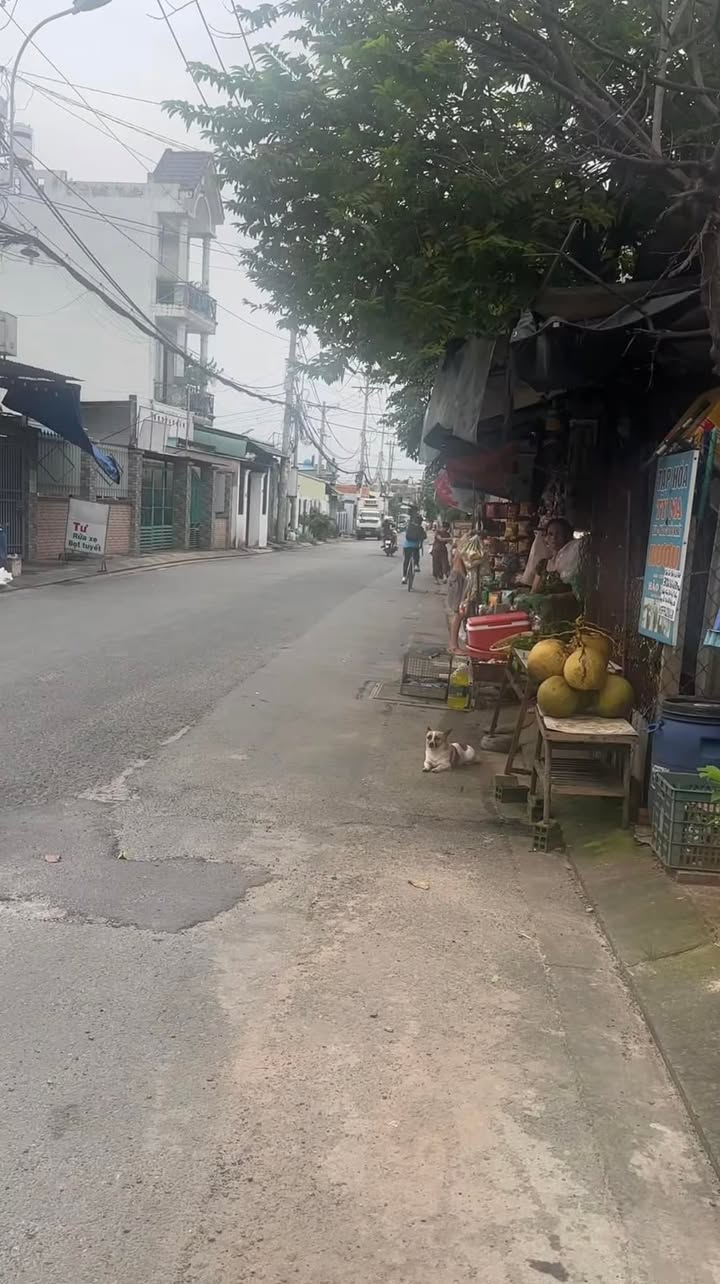 Đất mặt tiền đường HT13, quận 12, diện tích 127m² - Giá chỉ 5.45 tỷ!