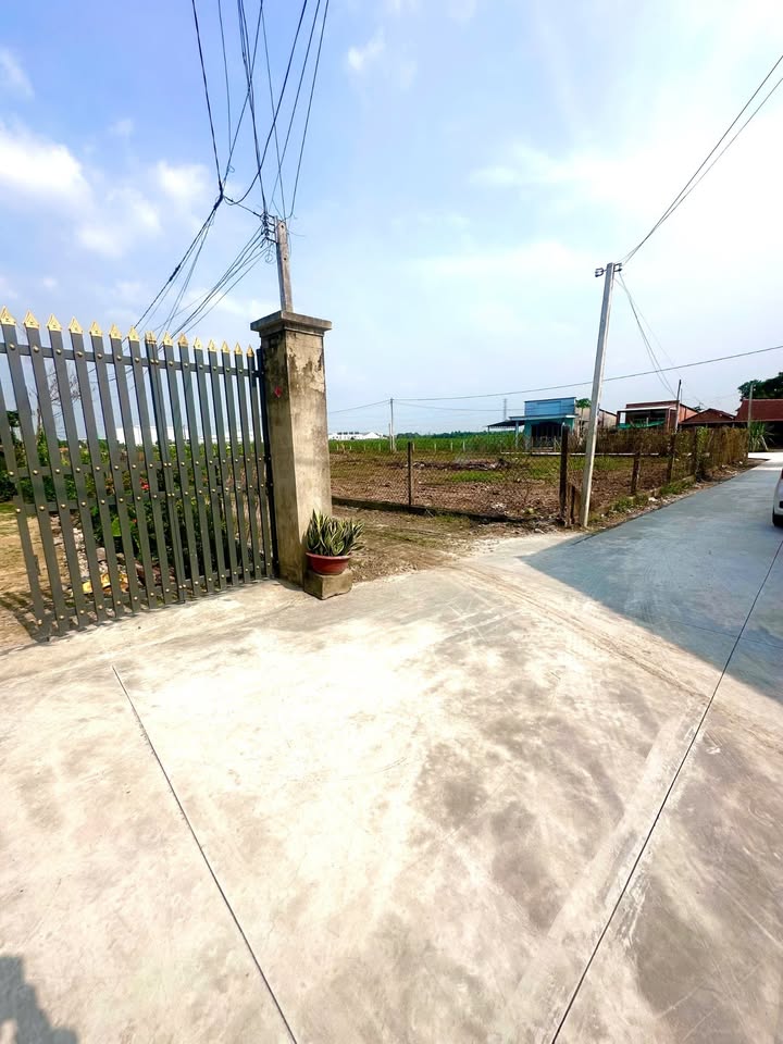 Đất nền ấp 5, Gò Dầu 135m² giá 700 triệu - Đường bê tông, sổ hồng đầy đủ!