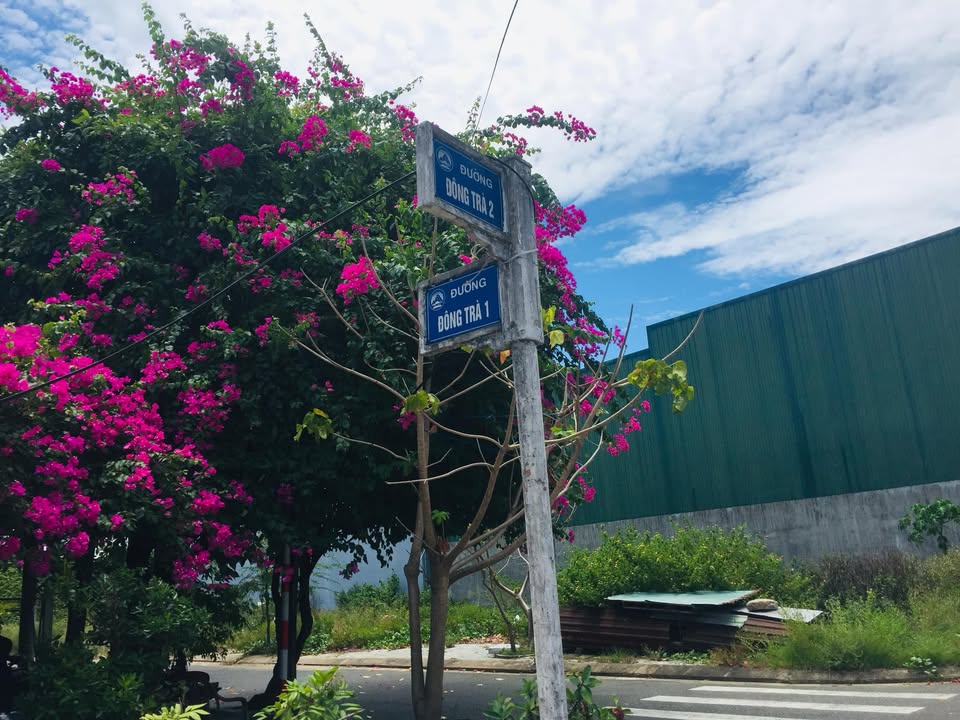 Đất nền đẹp đường Đông Trà 2, Hòa Hải, Ngũ Hành Sơn 100m² giá 2 tỷ - Sổ đỏ chính chủ!