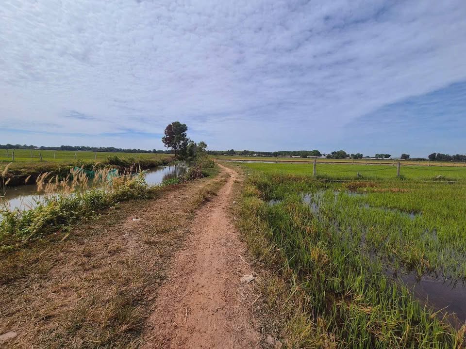 Đất nền Trung Lập Thượng, Củ Chi 2864m² chỉ 2.148 tỷ - Cơ hội đầu tư tuyệt vời!