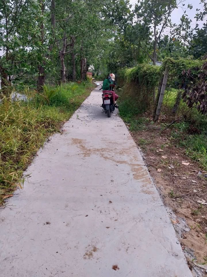 Đất thổ cư 90m² tại ấp Trường Ninh, Cần Thơ - Sổ hồng chính chủ chỉ 390 triệu!