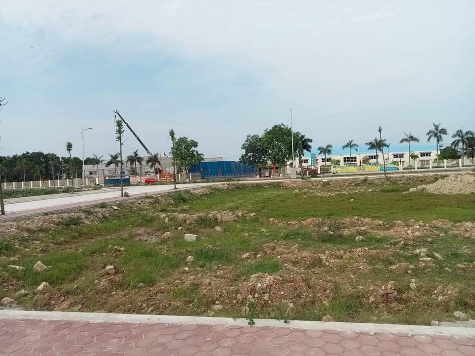 Đất nền Thọ Vực, Triệu Sơn 100m² giá 700 triệu - Cơ hội đầu tư hấp dẫn!