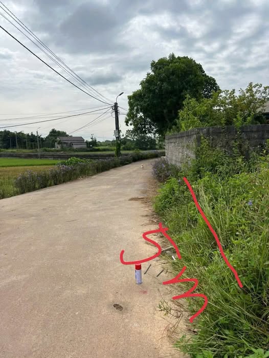 Đất nền Tân Cương Thái Nguyên 156m² giá 1.1 tỷ - Đường ô tô dễ dàng di chuyển!