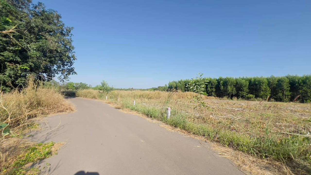 Đất mặt tiền nhựa 1 sào tại Ấp 6, Sông Trầu, Trảng Bom - Đầu tư sinh lời ngay!