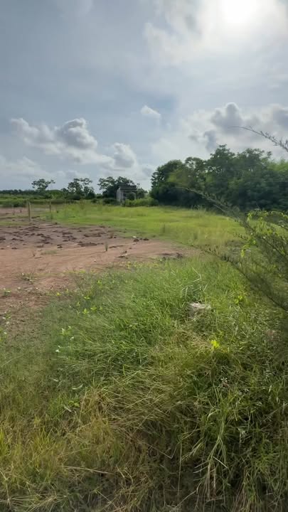 Đất nền thổ cư 165m² ấp Bà Từ - Giá chỉ 220 triệu - Sổ hồng công chứng trong ngày!