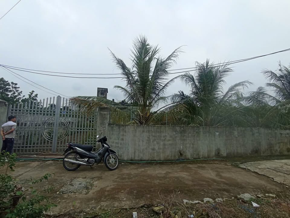 Bán Lô Đất Biệt Thự Vườn 957m² Tại Vị Khuê, Nam Định - Giá 5.5 Tỷ Thỏa Thuận!