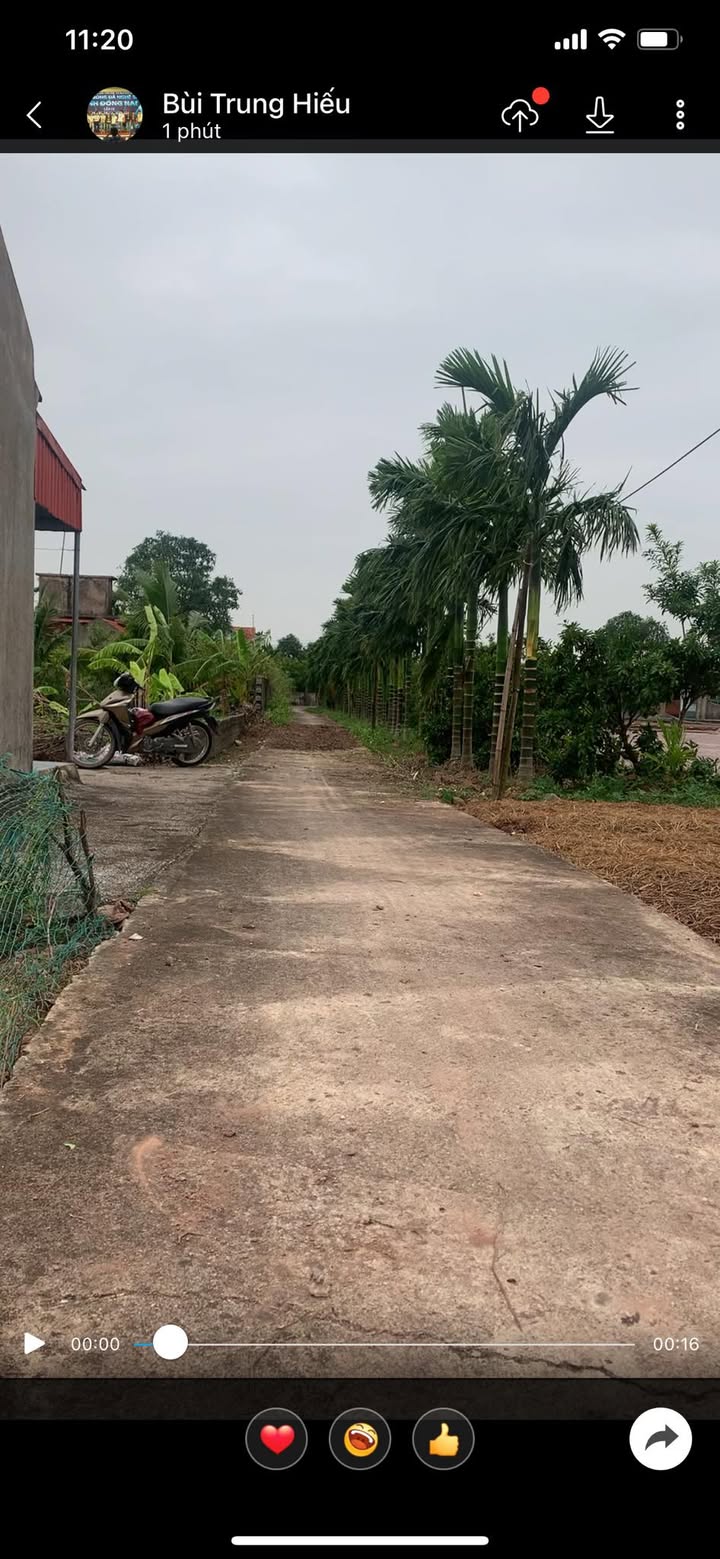 Đất thổ cư 500m² tại thôn 6, xã Nga Thái, giá chỉ 500 triệu - Cơ hội đầu tư tuyệt vời!