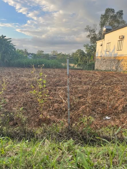 Đất thổ cư Tân Phong, Nghĩa Đàn 245m² giá 400 triệu - Cơ hội đầu tư hấp dẫn!