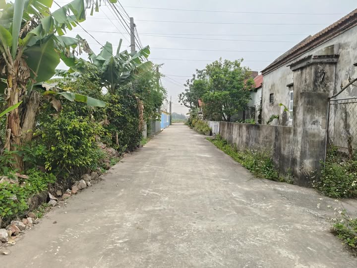 Đất thổ cư Nghĩa Lợi 200m² giá từ 600 triệu - Sổ đỏ chính chủ, đầu tư sinh lời!