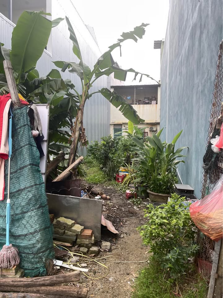 Đất nền Trần Hữu Duẩn, Hòa Xuân 113m² giá 5 tỷ - Đối diện công viên xanh mát!