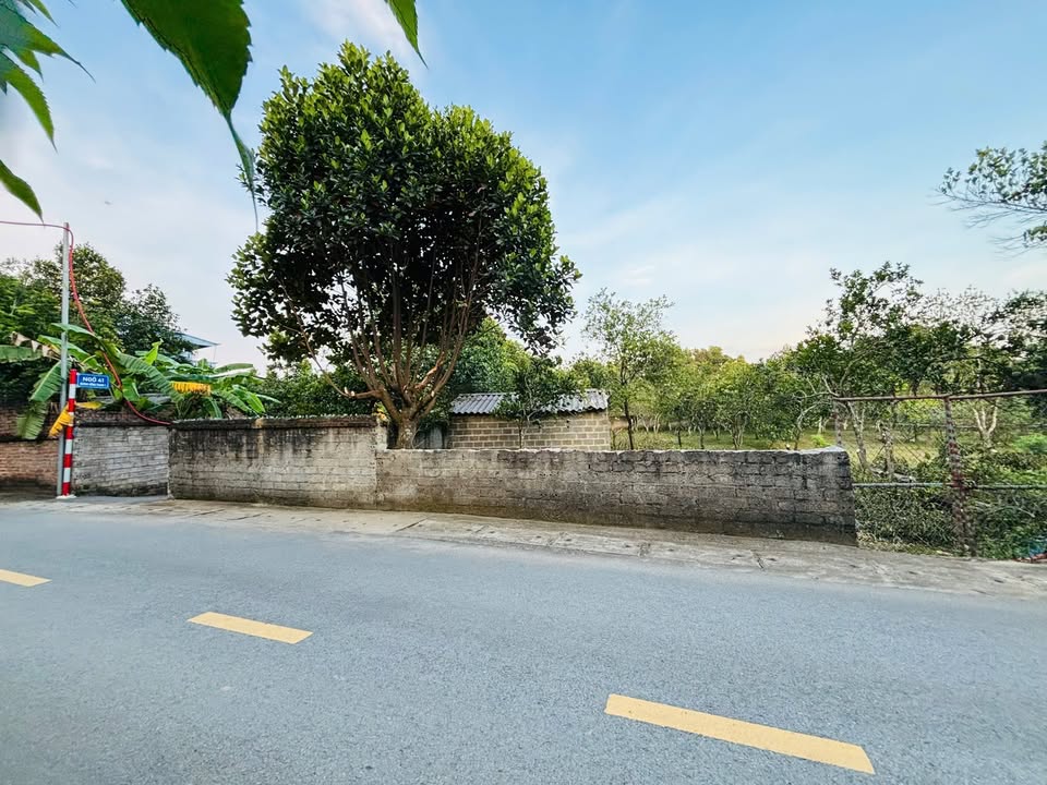 Đất chính chủ 2378m² mặt tiền 37m tại Thạch Thất - Cơ hội đầu tư vàng!