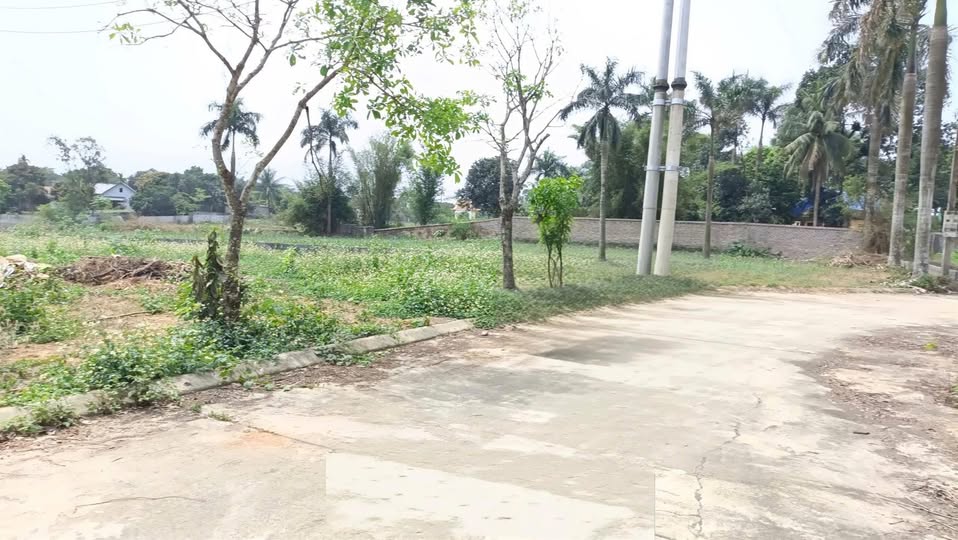 Đất vườn nghỉ dưỡng Lương Sơn 860m² giá 6 triệu/m² - Không gian xanh mát lý tưởng!