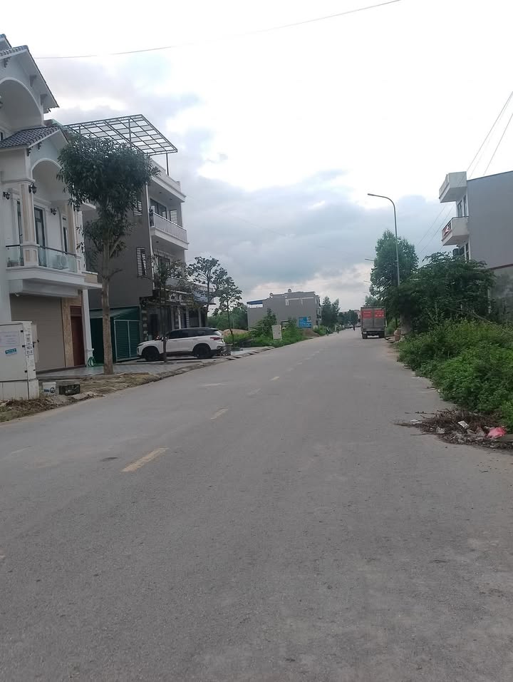 Đất nền Tân Mỹ Bắc Giang 97m² giá chỉ 400 triệu - Kinh doanh sầm uất!