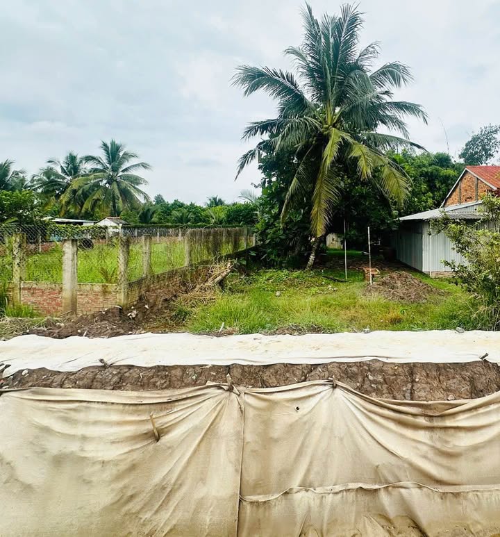 Đất mặt tiền đường Nguyễn Trãi, An Phước, 444m² giá 1.45 tỷ - Cơ hội đầu tư tuyệt vời!