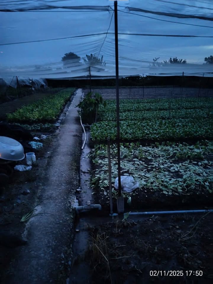 Đất nền Bà Điểm Hóc Môn 2100m² giá 7.8 tỷ - Khu dân cư sầm uất, tiện ích đầy đủ!