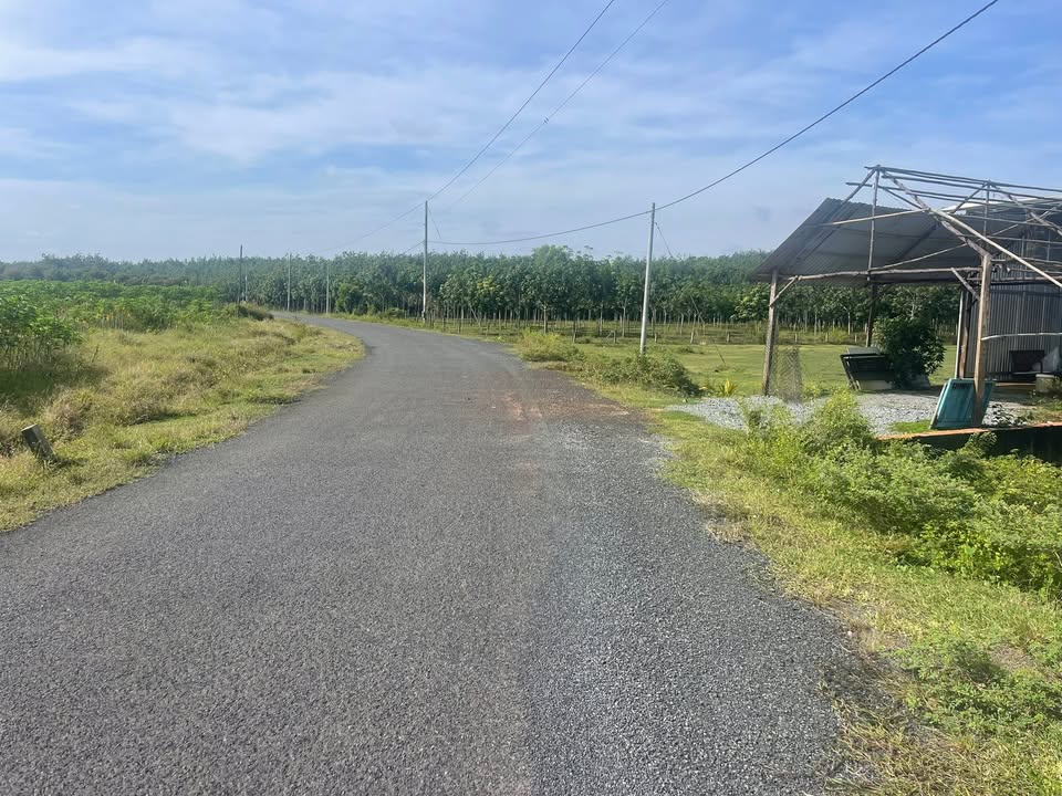 Đất thổ cư Lộc Khánh, Lộc Ninh 235m² chỉ 200 triệu - Cơ hội đầu tư tuyệt vời!