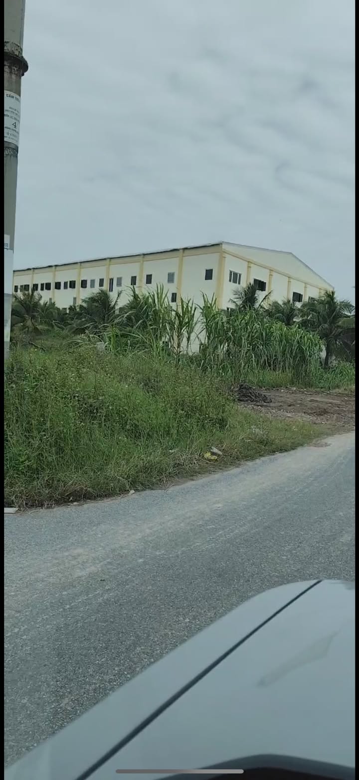 Đất nền Minh Quang, Kiến Xương 100m² giá 600 triệu - Cơ hội đầu tư hấp dẫn!