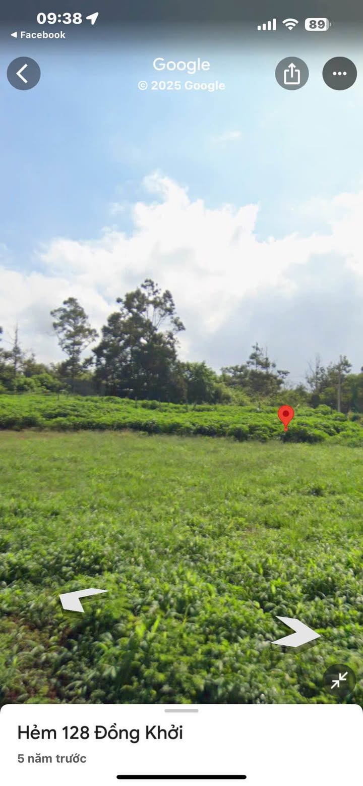 Đất mặt tiền đường Nguyễn Huệ, phường Tân Lợi, 115m² - Pháp lý rõ ràng, giá tốt!