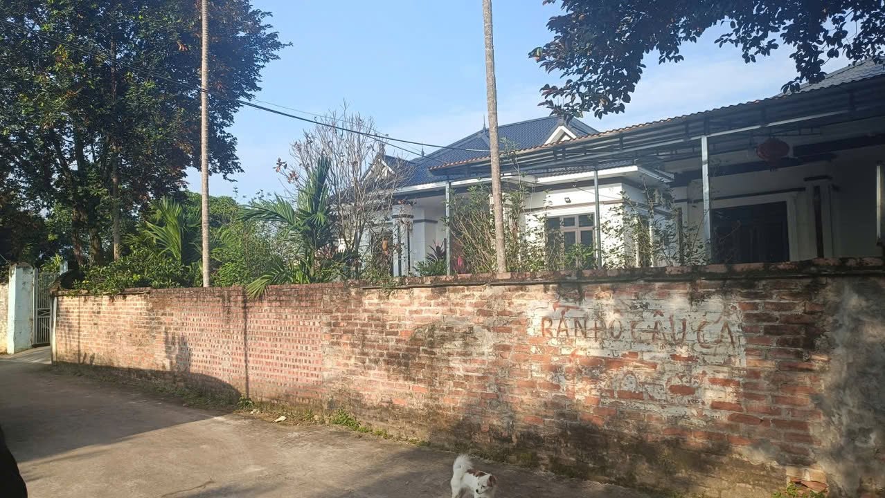 Đất nghỉ dưỡng Tản Lĩnh Ba Vì 1008m² giá 6 tỷ - Cơ hội đầu tư hấp dẫn!