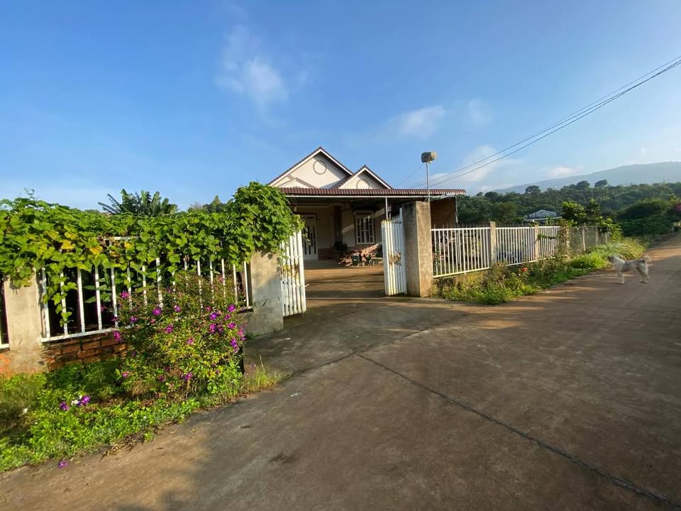 Đất nền Nam Ban Lâm Hà 4000m² giá 4 tỷ - Đầu tư nghỉ dưỡng lý tưởng!