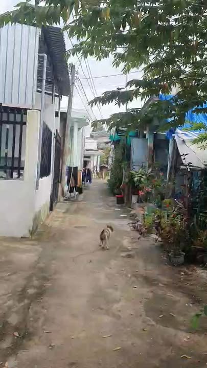 Nhà thổ cư 123m² Thị Trấn Ma Lâm, Hàm Thuận Bắc chỉ 750 triệu - Cơ hội vàng cho đầu tư!