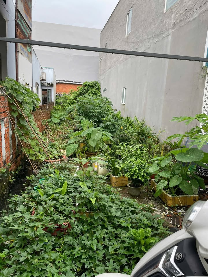 Đất nền Hẻm 6 Phạm Hùng, Lê Bình, Cái Răng 81.5m² giá chỉ 1.49 tỷ - Pháp lý rõ ràng!