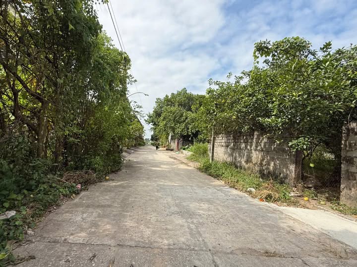 Đất xóm 1 Chương Dương Thường Tín 50m² giá 1.76 tỷ - Đón Tài Lộc ngay hôm nay!