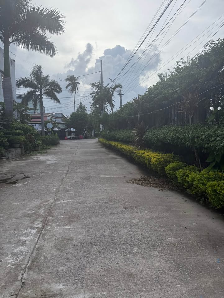 Đất nền Vân Trai, Tam Hiệp 150m² giá 800 triệu - Mặt tiền 6m, cơ hội đầu tư hấp dẫn!