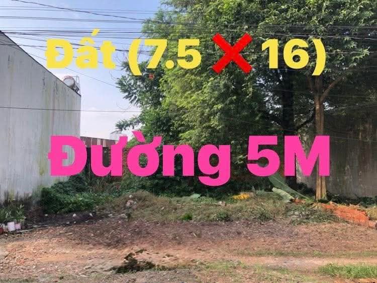 Đất thổ cư Hóc Môn 71m² giá 3.6 tỷ - Sổ hồng chính chủ, thương lượng ngay!