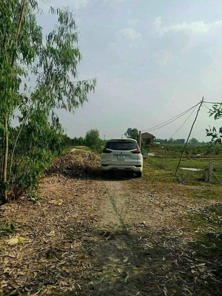 Đất nền ấp 5 xã Mỹ Bình, Đức Huệ, Long An 1175m² giá 720 triệu - Tiềm năng đầu tư lớn!