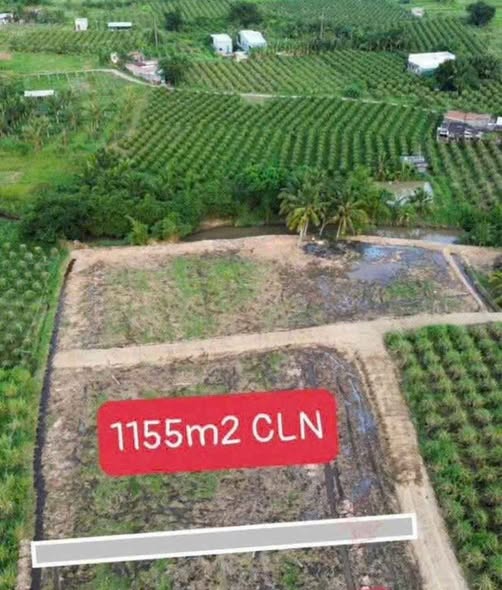 Đất nền 2 mặt tiền Trạm Y Tế Bình An 1.155m² giá 450 triệu - Sổ đỏ chính chủ!