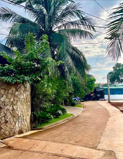 Đất thổ cư Gia Kiệm 120m² giá 580 triệu - Sổ đỏ chính chủ