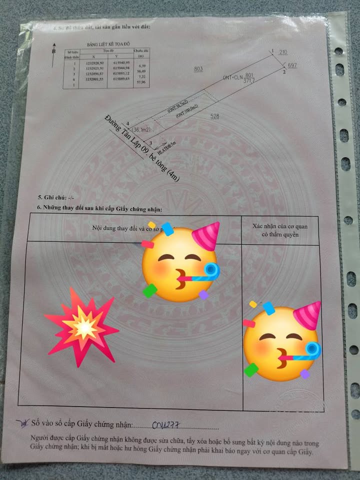 Đất nền Tân Lập Tân Uyên 913.5m² giá rẻ - Cần bán gấp cho chủ đầu tư!