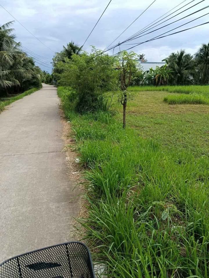 Đất nền Lương Hòa, Giồng Trôm 3400m² giá 650 triệu - Sổ đỏ chính chủ, sang tên ngay!