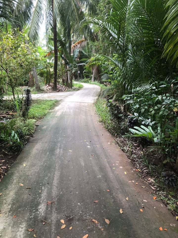 Đất thổ cư 8396m² tại ấp Thới Trị, Giồng Trôm giá 3.778 tỷ - Tiềm năng đầu tư lớn!