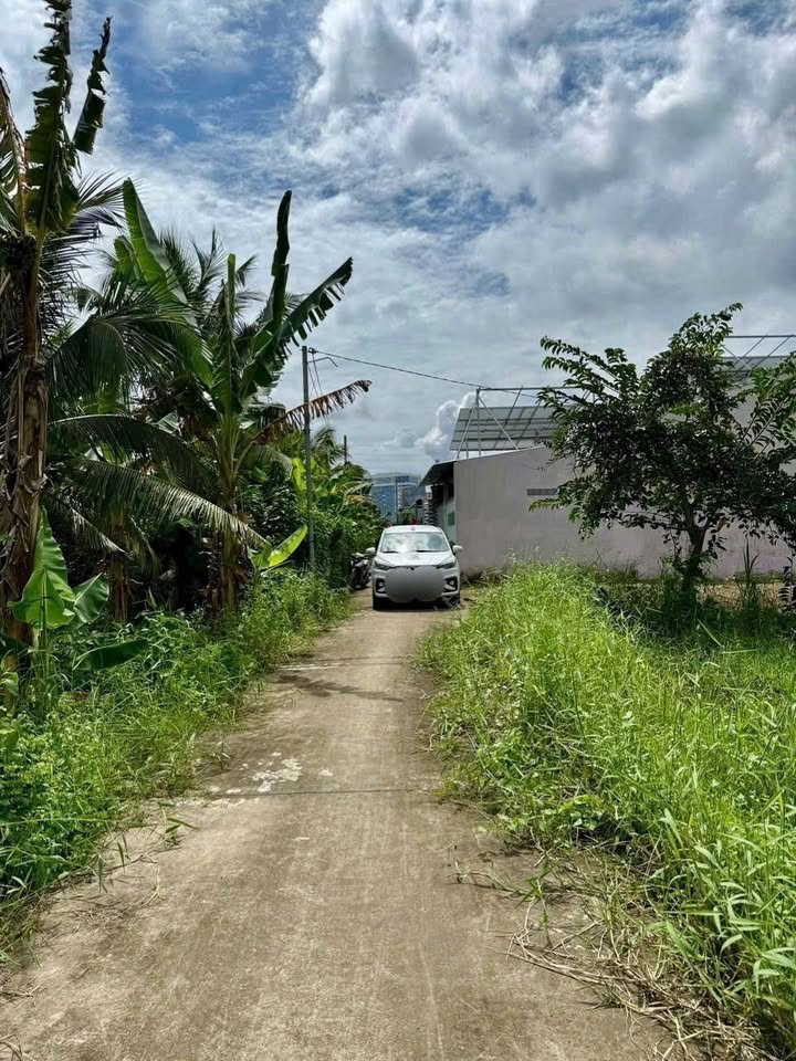 Đất nền biệt thự Phú Tân, Bến Tre 360m² giá 890 triệu - Đường xe 7 chỗ tới nơi!