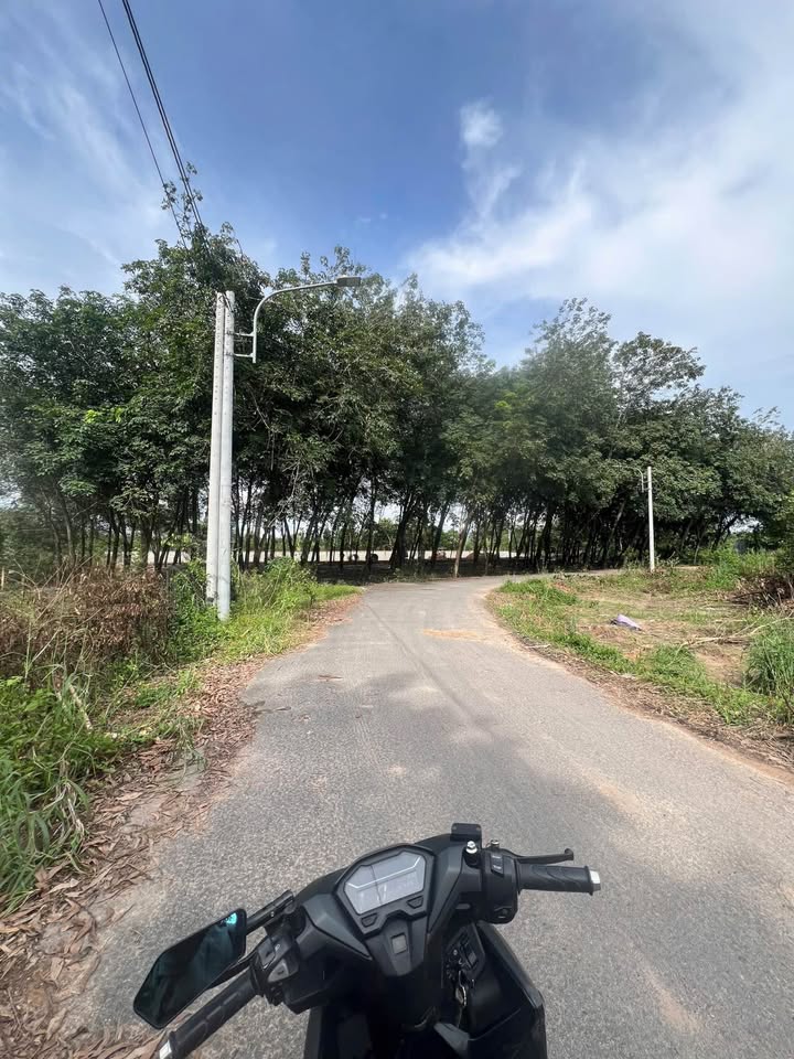 Đất nền 7400m² Phú An, Bến Cát - Giá chỉ 22.2 tỷ, sổ hồng chính chủ!