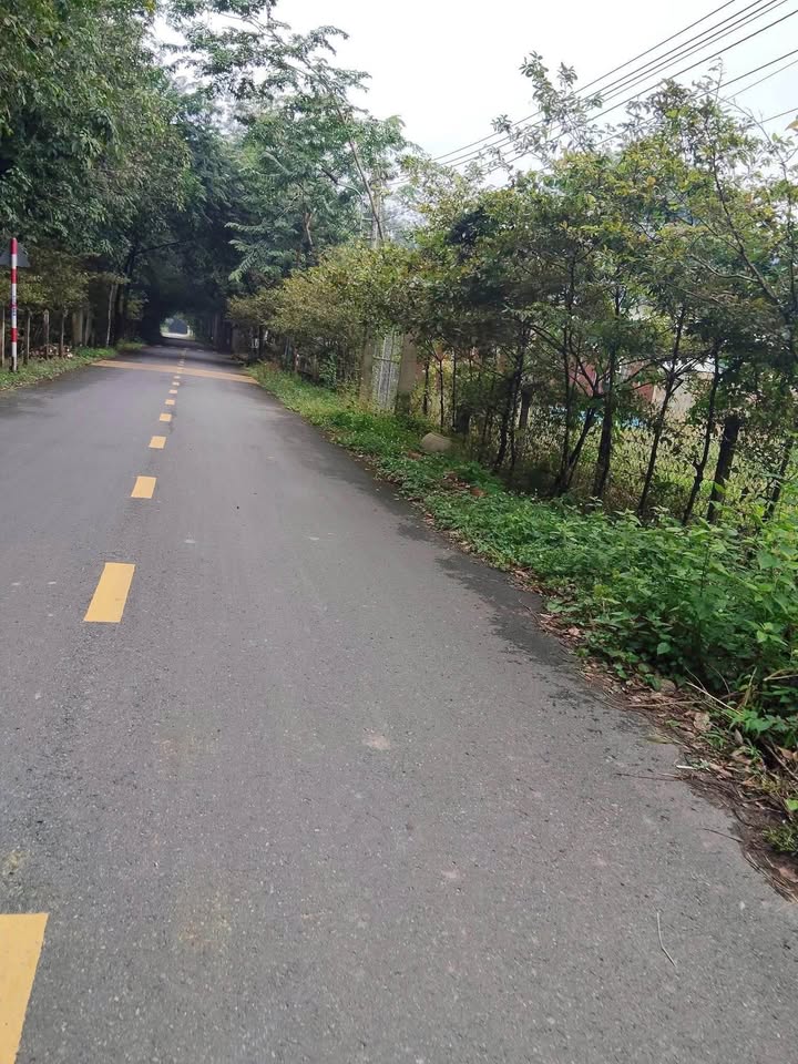 Đất An Điền Bến Cát 200m² giá 1.3 tỷ - Đường nhựa thông đẹp