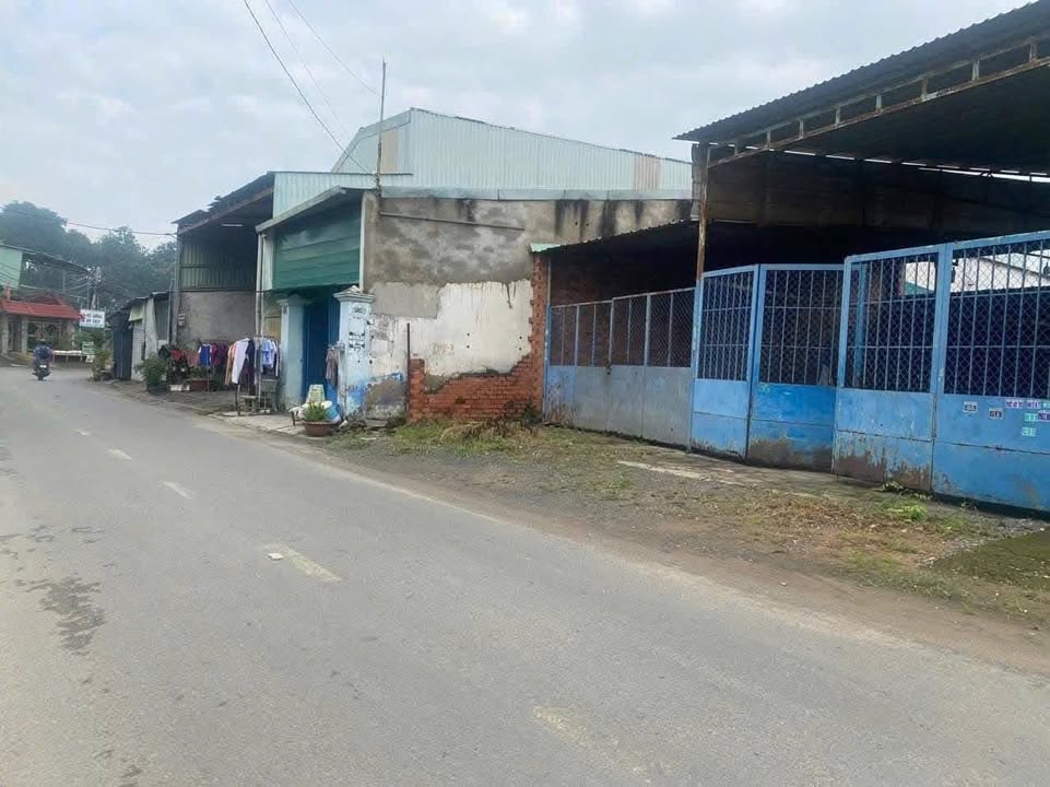 Đất nền mặt tiền đường Cây Da, Tân Đông Hiệp, Bình Dương 305m² giá 5 tỷ - Cơ hội đầu tư sinh lời!