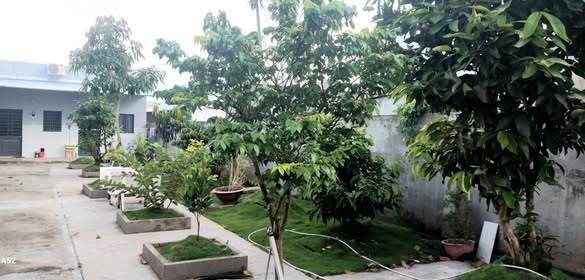 Nhà vườn Hẻm 63 Hùng Vương Sóc Trăng 288m² giá 2 tỷ - Đầu tư sinh lời ngay!