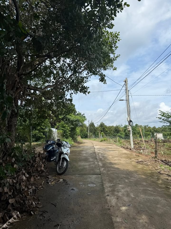 Đất thổ cư Tân Phú, Đồng Nai 8000m² giá 1.3 tỷ - Đầu tư sinh lời ngay!