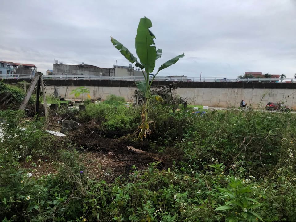 Đất nền lô 2 đường Bắc Sơn kéo dài, Thái Nguyên 83.7m² giá chỉ 4 tỷ - Vị trí cao ráo, không ngập lụt!