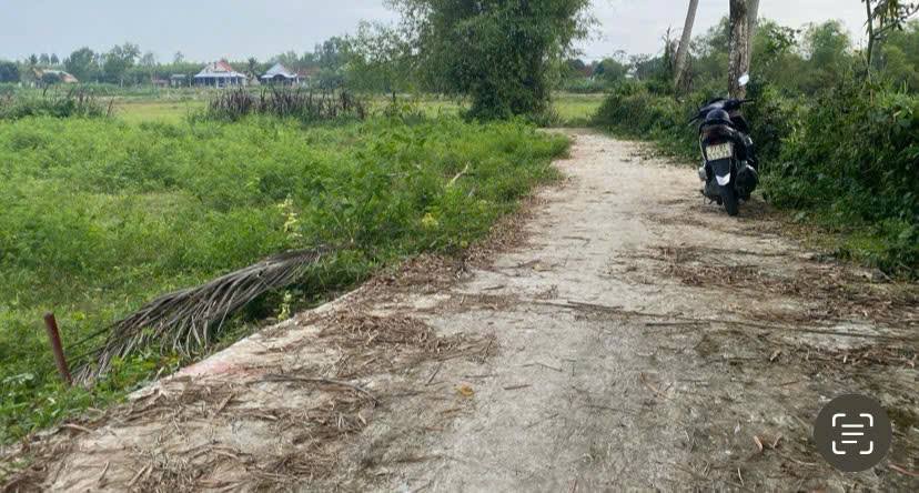 Đất nền thôn Thuận Phong, xã Cát Lâm, 169m² - Đầu tư sinh lời hấp dẫn!