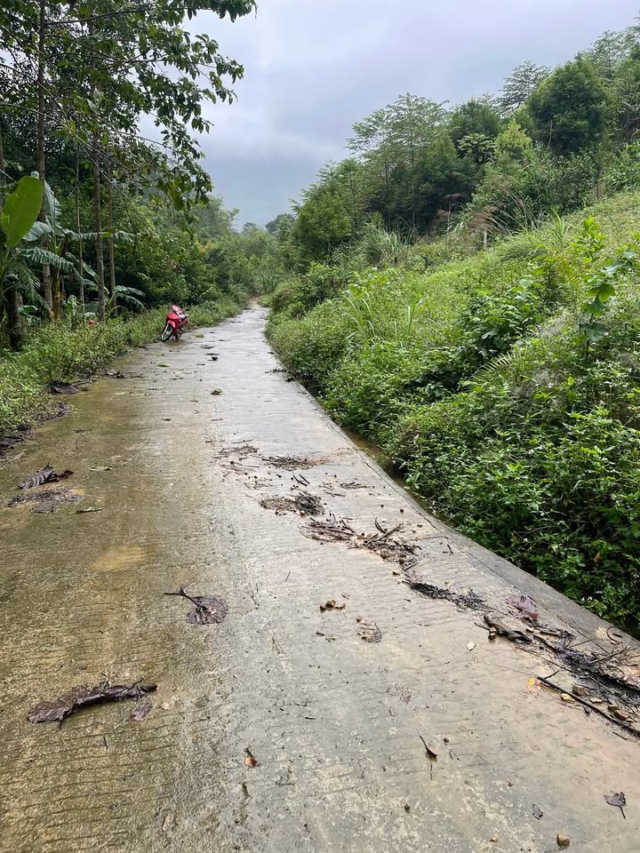 Đất nông nghiệp Lương Sơn Hòa Bình 2ha giá 500 triệu - Đầu tư sinh lời ngay!