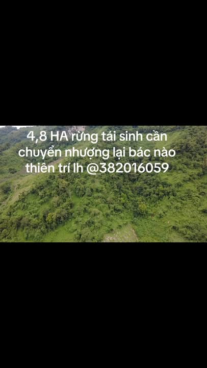 Đất Farm 4,8 H A tại Chợ Mới Bắc Kạn giá 210 triệu - Cơ hội đầu tư lý tưởng!