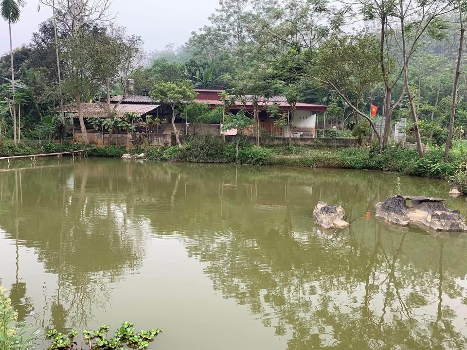 Farm 4ha tại Kim Thượng, Bắc Quang - Cơ hội đầu tư trang trại lý tưởng!