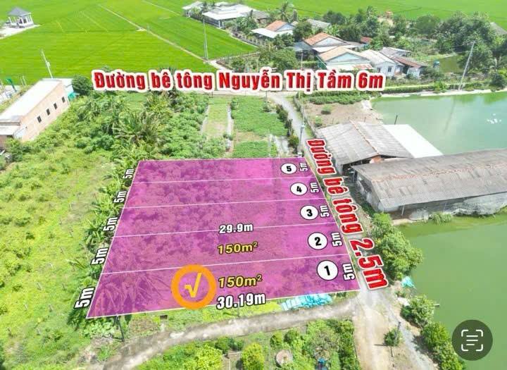 Đất nền 150m² xã Bình Lãng, Tân Trụ, Long An - Giá đầu tư chỉ 449 triệu!