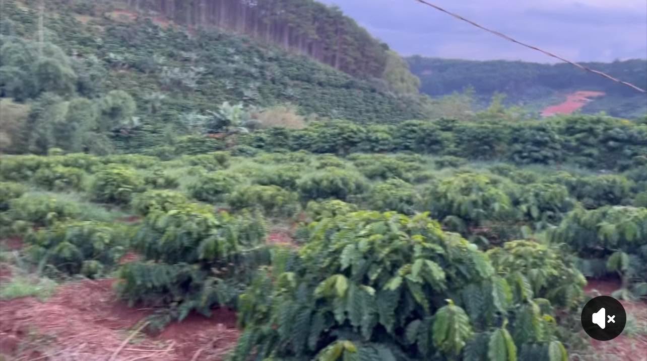 Đất nền Nam Ban Lâm Hà 1.600m² giá 1.499 tỷ - Tiềm năng đầu tư lớn!