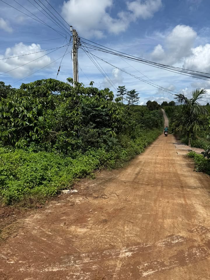 Đất nền Tân Hà Lâm Hà 3600m² giá 1 tỷ - Mặt đường bê tông rộng rãi!