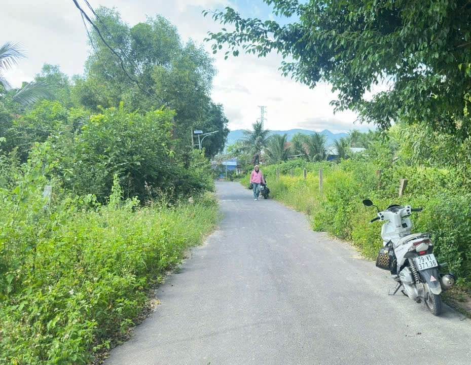 Đất nền Đại Lãnh, Vạn Ninh 600m² giá 3 tỷ - Cơ hội đầu tư không thể bỏ lỡ!